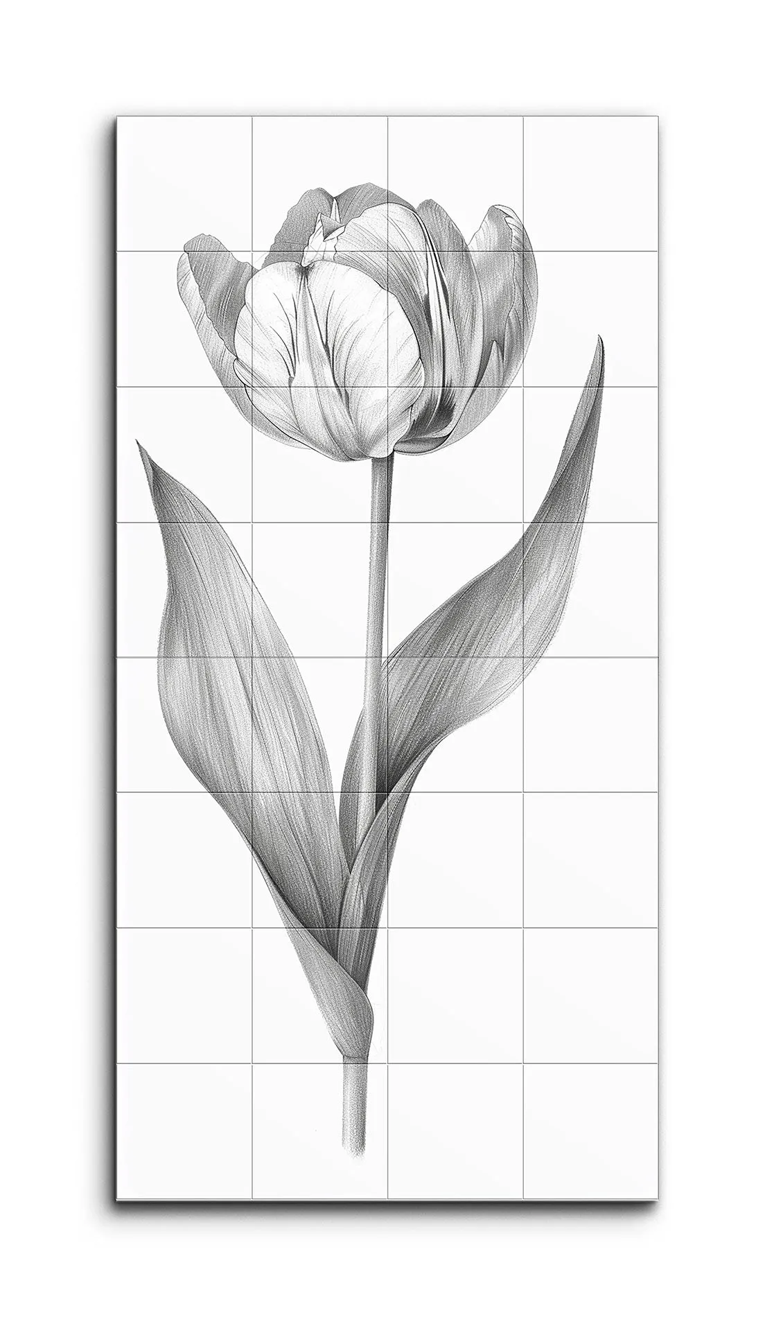 Timeless Monochrome Tulip Illustration