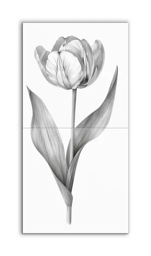 Timeless Monochrome Tulip Illustration