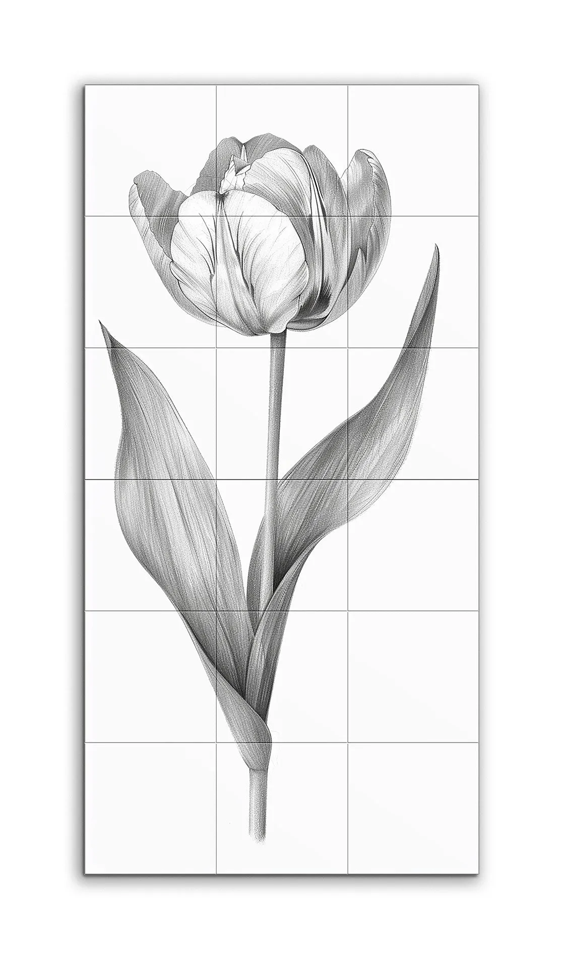 Timeless Monochrome Tulip Illustration