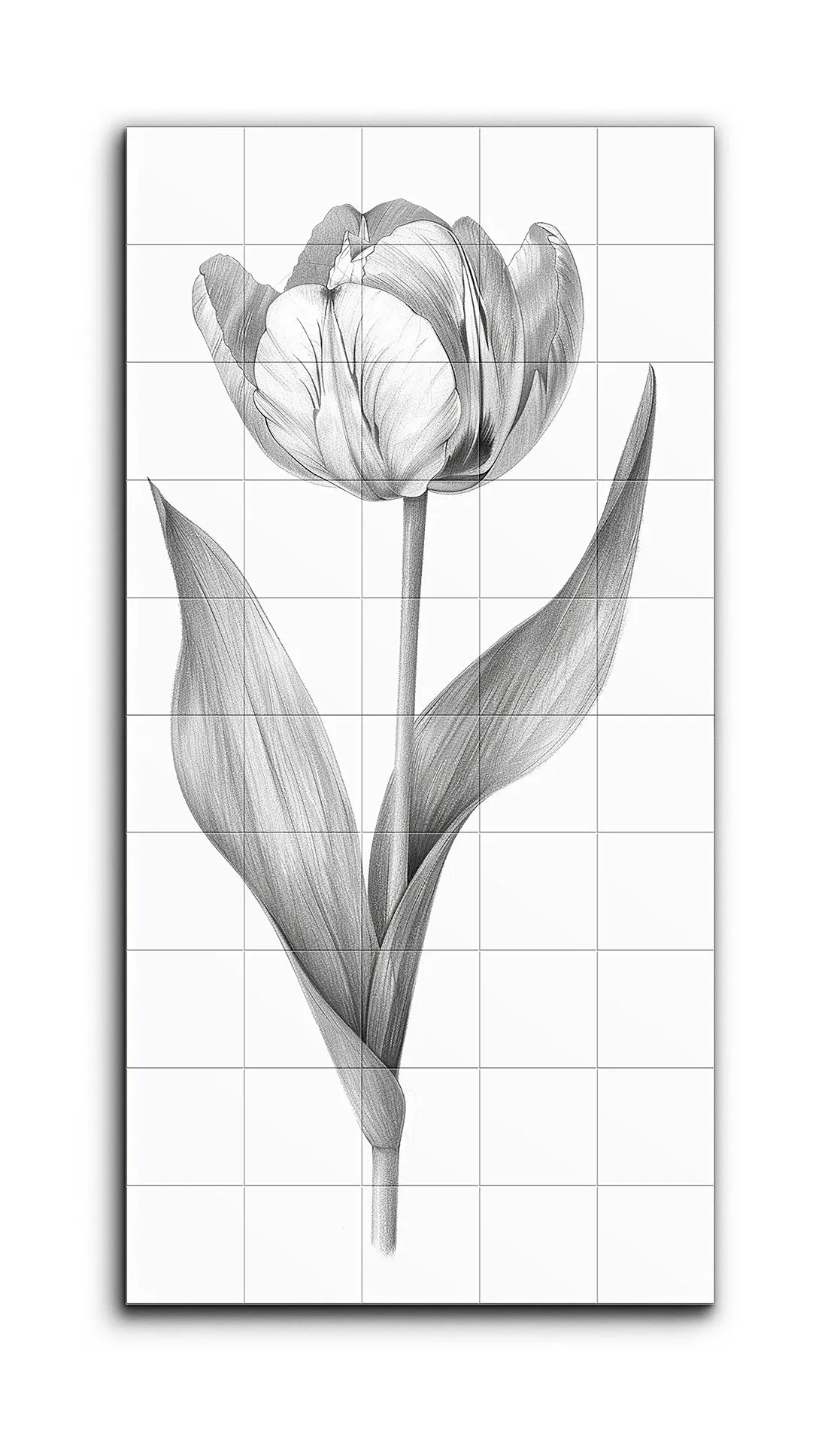 Timeless Monochrome Tulip Illustration